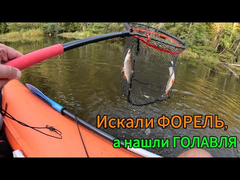 Видео: Искали ФОРЕЛЬ, а нашли ГОЛАВЛЯ! Рыбалка на малой реке на кренки