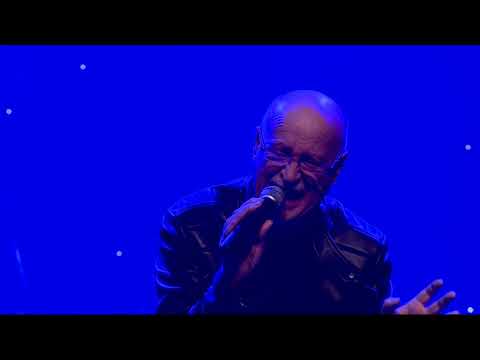 Видео: СИГНАЛ   ДА ИЛИ НЕ