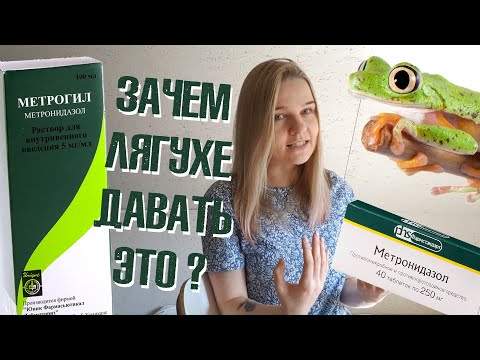 Видео: Профилактика простейших у амфибий. Как и зачем?