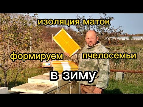 Видео: Изоляция маток. Формируем пчелосемьи в зиму. (Пчелохозяйство Мельниковых).
