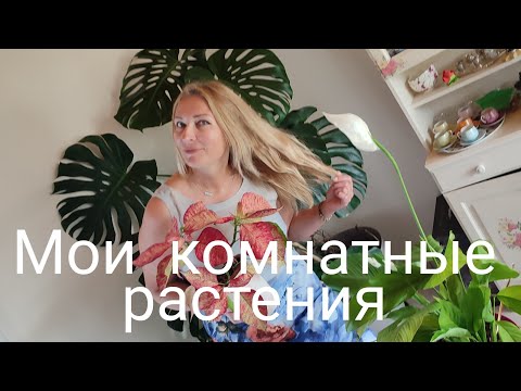 Видео: Что растет в доме. #янавофранции, #хозяевамира