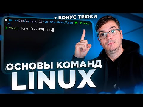 Видео: Основы команд Linux и продвинутые трюки