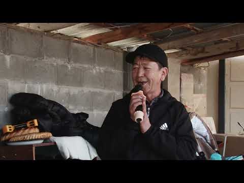 Видео: Тезирек көр! Живой голос баары бийледи.