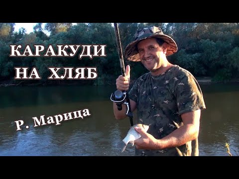 Видео: Риболов на Каракуда на Плувка и Хляб на Река Марица // Float Fishing for Crucian Carp with Bread