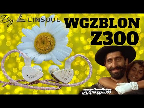 Видео: Обзор динамических наушников wgzBlon Z300