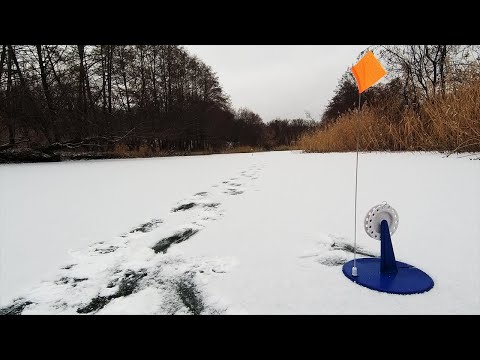 Видео: ПЕРВЫЙ ЛЁД 2020-2021. ЖЕРЛИЦЫ! Первые сработки, первые ЩУКИ! Зимняя РЫБАЛКА на ЖЕРЛИЦЫ!