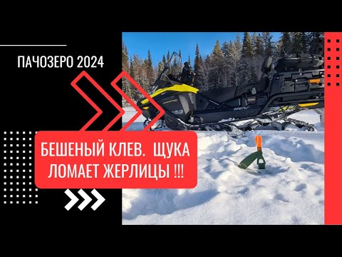 Видео: Пачозеро 2024 | Бешеный клев щуки | Щука рвет снасти, ломает жерлицы | Таёжное озеро |