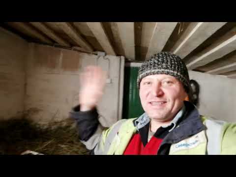 Видео: Рождение новых крольчат!