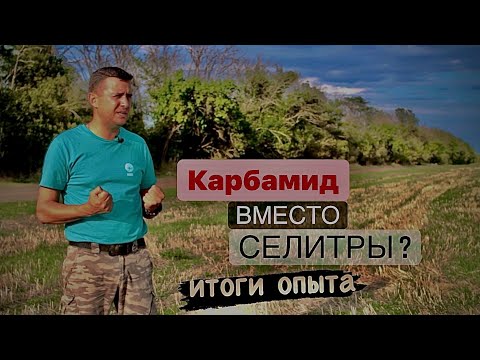 Видео: Селитра или карбамид в азотную подкормку озимой пшеницы?