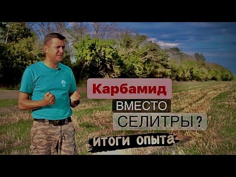 Видео: Селитра или карбамид в азотную подкормку озимой пшеницы?