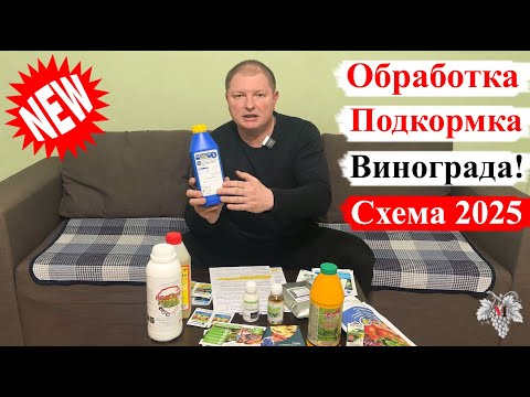 Видео: Схема ОБРАБОТКИ и ПОДКОРМКИ Винограда! СЕЗОН 2025