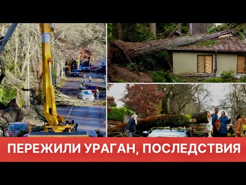 Видео: ШТАТ ВАШИНГТОН, УРАГАН, ПОСЛЕДСТВИЯ