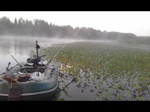 Видео: Хариус на Мушки. Вишера Река 2019.