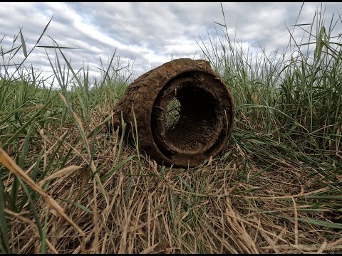 Видео: Снова Бонус! Коп Металла. #shorts #metaldetecting #коп