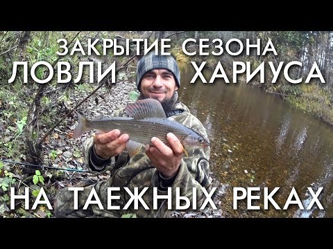 Видео: ЗАКРЫТИЕ СЕЗОНА ЛОВЛИ ХАРИУСА НА ТАЕЖНЫХ РЕКАХ