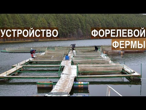 Видео: Устройство форелевой фермы РыбаLove. Рассказ о ферме. Подготовка рыбы и садков к зиме.