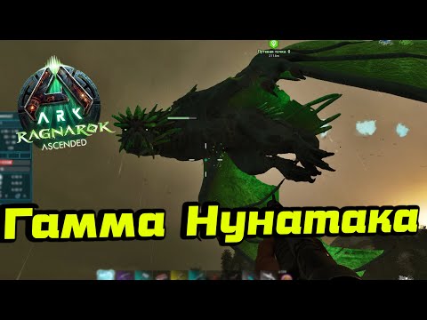 Видео: Гамма Нунатак /Ark Survival Ascended /Ragnarok #9