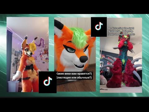 Видео: РЕАКЦИЯ НА ФУРРИ ИЗ ТИК ТОКА!