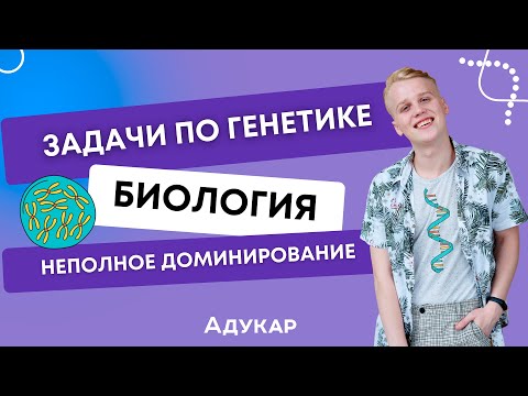 Видео: Генетика | Решение задач по генетике | Неполное доминирование | Биология |Решение генетических задач