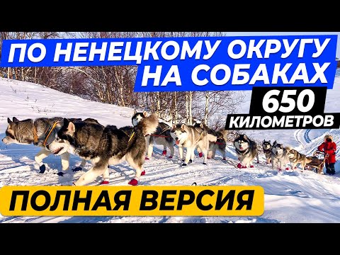 Видео: 650 км на собаках по Ненецкому округу \ Нарьян-Мар \ Индига \ Полная версия