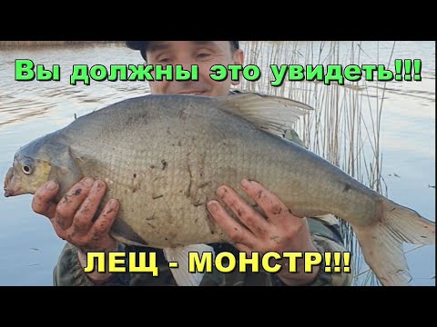 Видео: Жор огромного леща. Простой рецепт супер прикормки. Рыбалка на донку