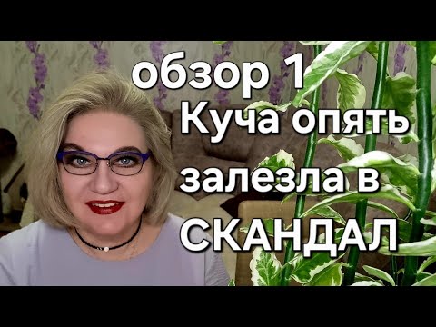 Видео: Куча опять залезла в СКАНДАЛ❗️