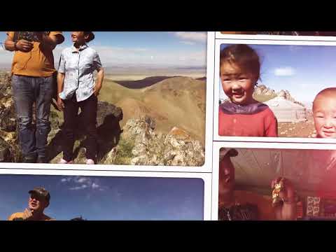 Видео: Бөөрөг элс Говийн баян бүрдэд ok