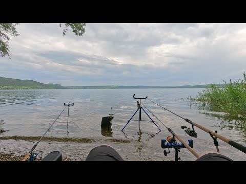 Видео: Відпочинок і риболовля на Бакоті, Дністер