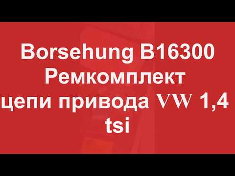 Видео: Kомплект цепи привода ГРМ VW GOLF 1,4 tsi V16.  Borsehung B16300 CAVA, CAVB, CAVC, CAVD, CTHA, CTHB