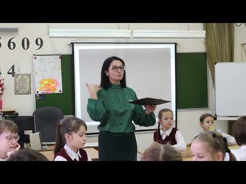 Видео: Невольниченко Е.В. МИД,  5 класс