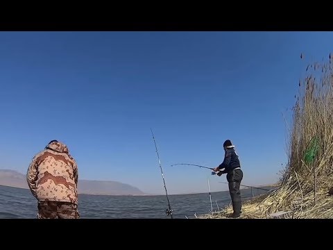 Видео: Весенний выезд на Рыбалку.р Или Михайловские озера.Рыбалка в Алматы