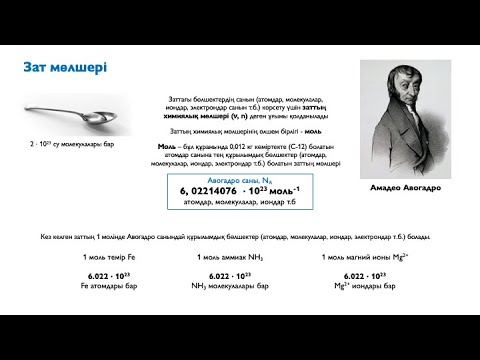 Видео: 2.1. Зат мөлшері туралы алғашқы түсінік