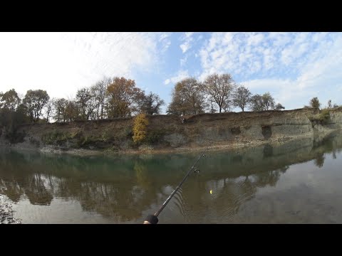 Видео: Рыбалка на р. Белой 28 октября. Голавль на спиннинг. Рыбалка 2020