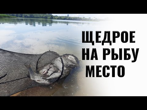 Видео: Щедрое на рыбу место. Поймать леща на фидер в Казани.Карась на  поплавок, судак на резку.