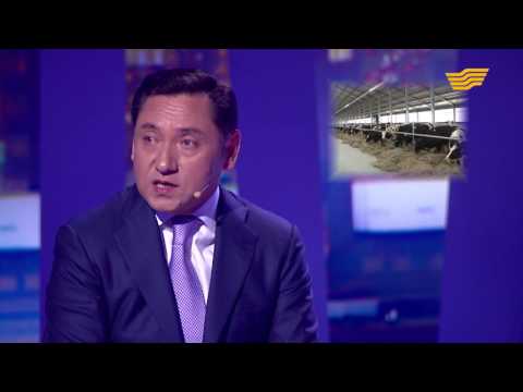 Видео: Пай-Пай - Бауыржан Оспанов