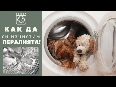 Видео: Как почистить стиральную машину/ Как почистить лоток стиральной машины/ Как почистить фильтр