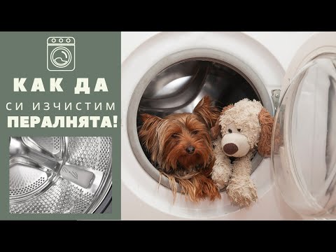 Видео: Как почистить стиральную машину/ Как почистить лоток стиральной машины/ Как почистить фильтр