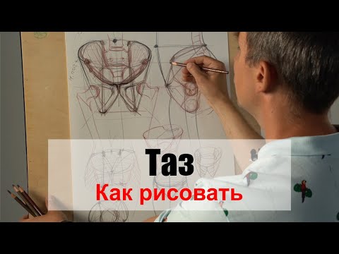 Видео: Как рисовать "Таз" /часть 1/ - А. Рыжкин