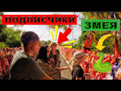 Видео: Накормил подписчиков лучшим ПАД-ТАЕМ в Паттайе! + Топовые локации!