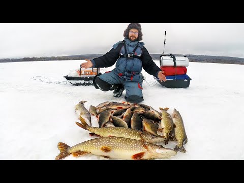 Видео: Живу НА ЛЬДУ 4 ДНЯ! Всё ради такой рыбалки! Это вам не Якутия!