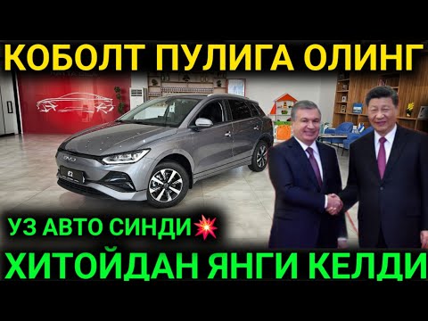 Видео: 15-СЕНТАБР КОБОЛТ УРНИГА😱 ЯНГИ АВТО ХИТОЙДАН КЕЛДИ BVYD НАРХЛАРИ 2025 БУХОРО МОШИНА БОЗОРИ 2025