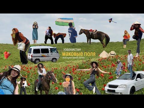 Видео: МАКОВЫЕ ПОЛЯ | Узбекистан или моё веселое воскресенье!