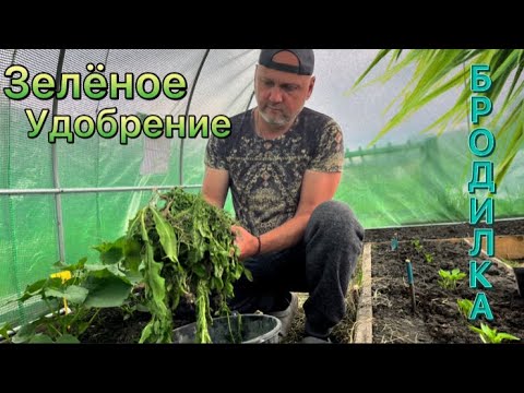 Видео: Зелёное удобрение.Бродилка.