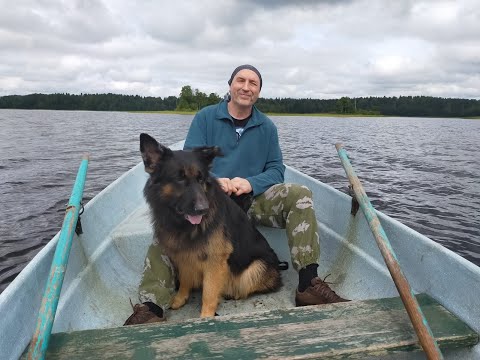 Видео: Мне нужен автодом #29 - Борьба за тепло и тишину, борьба с конденсатом. Авиационные технологии.