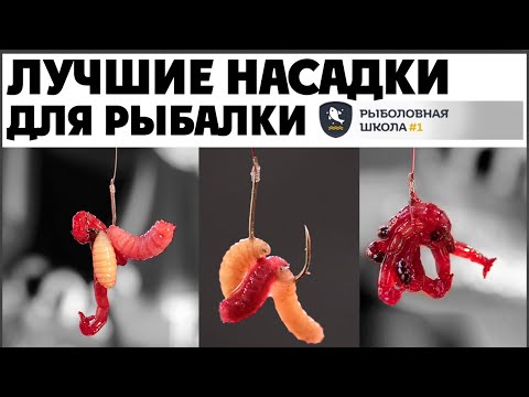 Видео: Насаживай червя на крючок правильно. Рыбалка на фидер 2023.