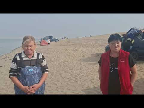 Видео: Всех с праздником 💥🖐