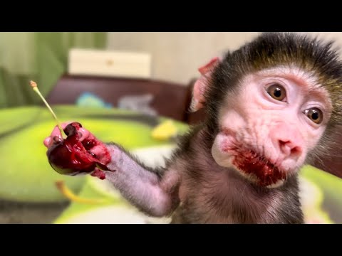 Видео: Ангелина поделилась с Люсей черешней, ЭТО НАДО ВИДЕТЬ)))