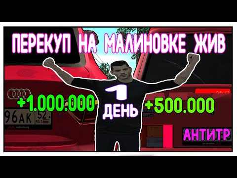 Видео: СТАЛ ПЕРЕКУПОМ НА 1 ДЕНЬ , МАЛИНОВКА КРМП
