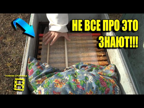 Видео: ОЧЕНЬ ВАЖНЫЕ ТОНКОСТИ ДЛЯ ХОРОШЕЙ ЗИМОВКИ ПЧЕЛ ПРИ ПОДГОТОВКЕ!!! ДЛЯ НАЧИНАЮЩИХ ПЧЕЛОВОДОВ 34-21