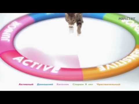 Видео: [ИТВ] Запуск канала и фрагмент эфира (Perfect Fit TV, 28.08.2022, 08:00)